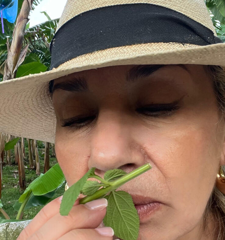 Sensorial Experience Sensorial Experience