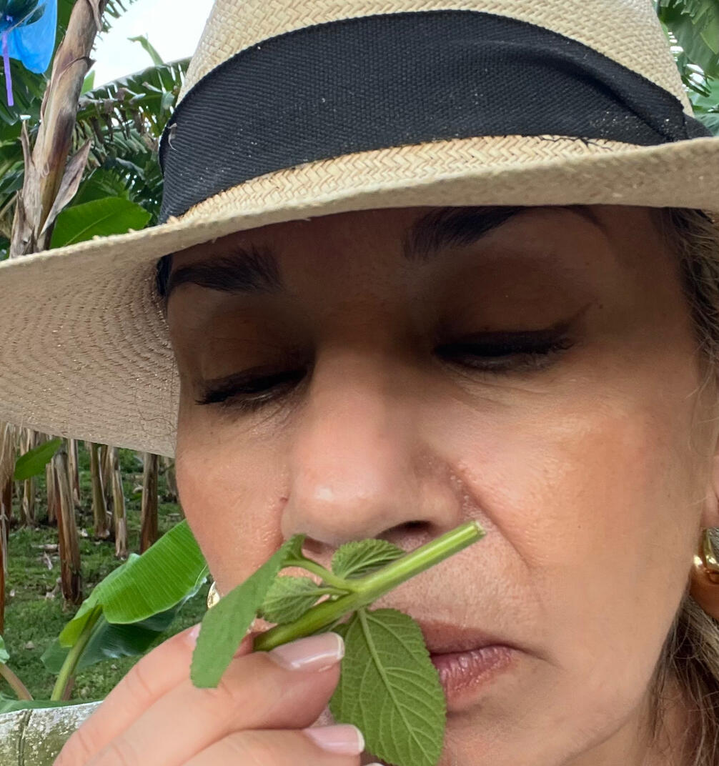 Sensorial Experience Sensorial Experience